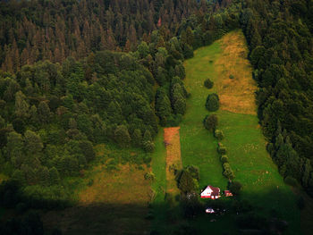 Scenic view of field