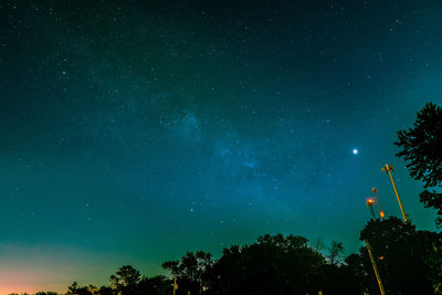 Low angle view of trees against star field at night