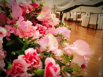 Close-up of pink flowers