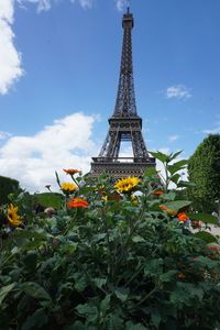 View of flowering plants against cloudy sky