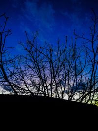 Silhouette bare tree against sky at night