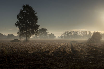 Scenic view of field against sky during sunset