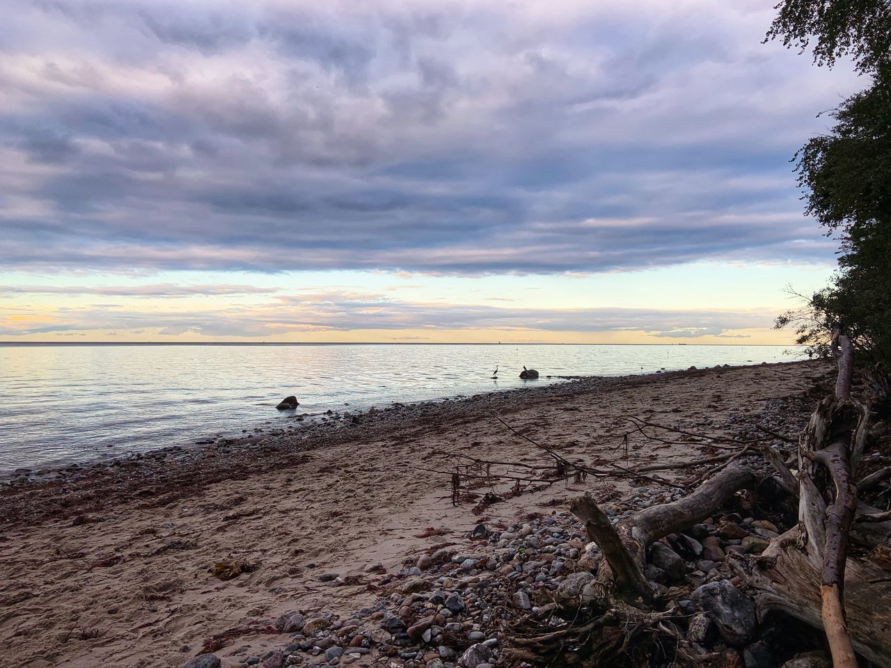 SCENIC VIEW OF BEACH AGAINST CLOUDY SKY