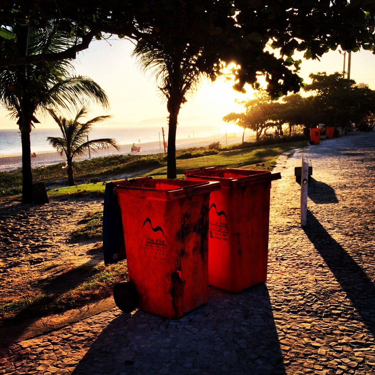 red, tree, sunlight, sunset, outdoors, beach, incidental people, orange color, focus on foreground, nature, sky, food and drink, no people, park - man made space, tree trunk, close-up, tranquility, street, shadow, day