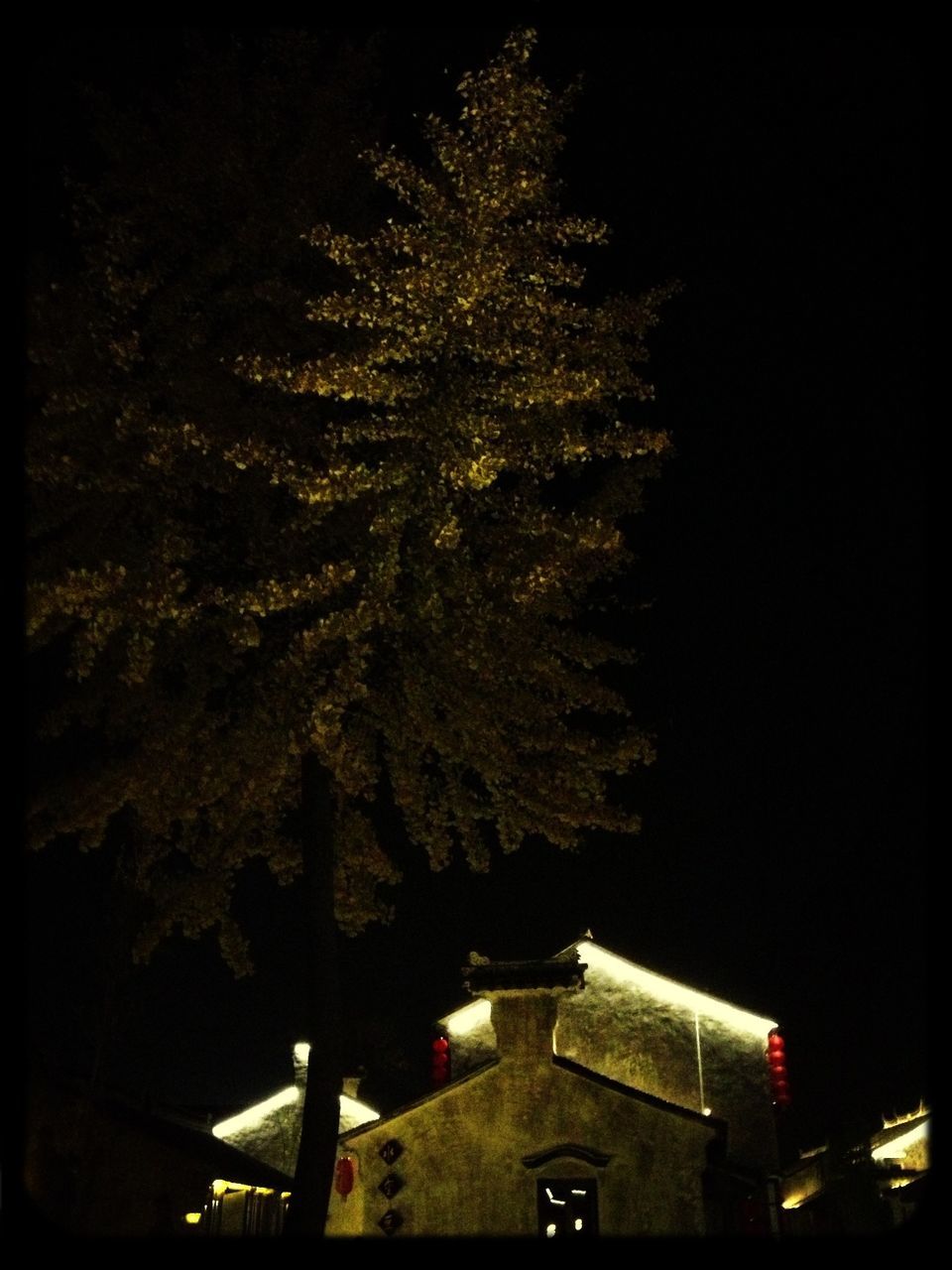 night, illuminated, building exterior, built structure, architecture, tree, low angle view, clear sky, dark, growth, house, outdoors, no people, lighting equipment, copy space, light - natural phenomenon, sky, residential building, glowing, nature