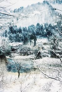 Scenic view of snow covered land and trees