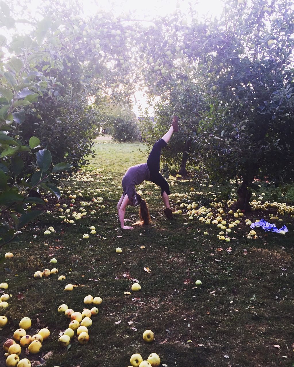 full length, lifestyles, jumping, leisure activity, sunlight, tree, mid-air, childhood, casual clothing, balance, nature, side view, outdoors, running, motion, fun, day, enjoyment