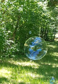 Close-up of bubbles in park