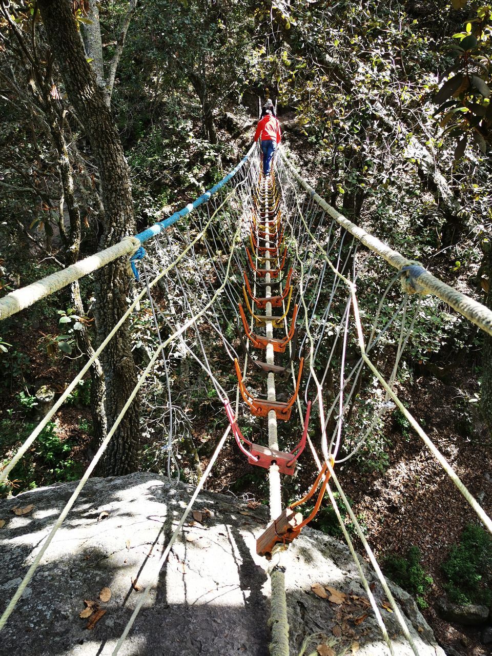 HIGH ANGLE VIEW OF FOOTBRIDGE AMIDST TREES