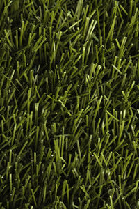 Texture of green grass on a sports soccer field or golf lawn. green sports lawn in the stadium