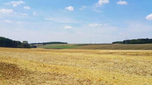 Scenic view of agricultural field against sky