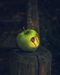 Close-up of rotten apple on tree stump