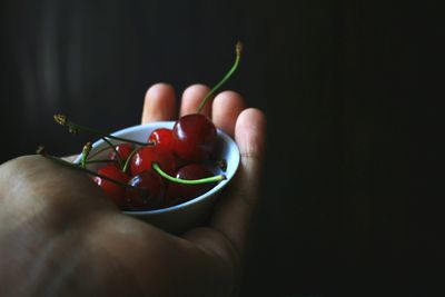 Close-up of hand holding fruit