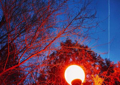 Low angle view of tree against sky