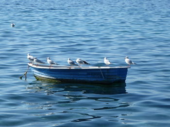 Birds perched on boat at rippled blue water