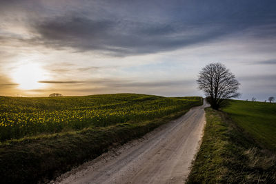 Road amidst field against sky