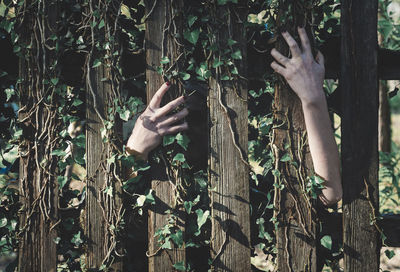 Cropped hands of woman by trees in forest