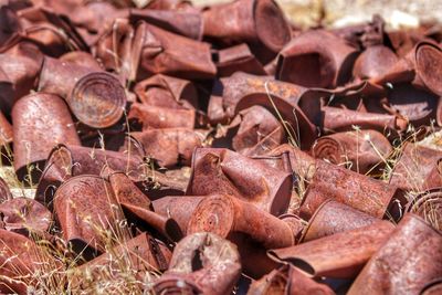 Pile of cans left behind by early 1900s miners