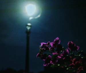 Low angle view of illuminated lamp post at night