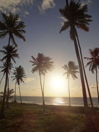 Palm trees on beach against sky during sunset