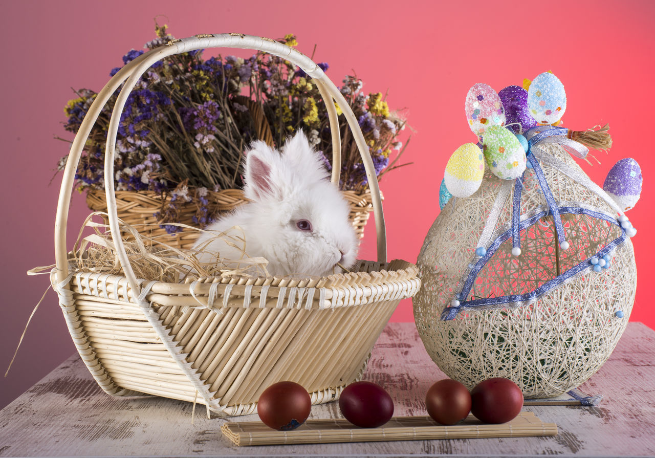 VIEW OF A BASKET OF ANIMAL