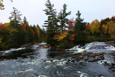 Stream flowing through rocks in forest during autumn