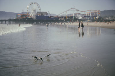 Beach in santa monica