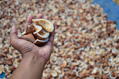 Cropped hand holding seashell