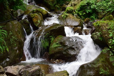 View of waterfall in forest