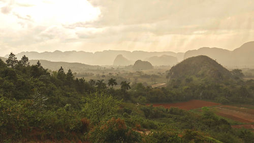 Scenic view of landscape against sky