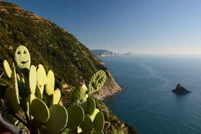 Scenic view of sea against clear sky
