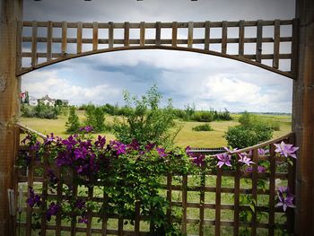 View of flowers against cloudy sky