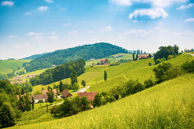 Scenic view of agricultural field against sky