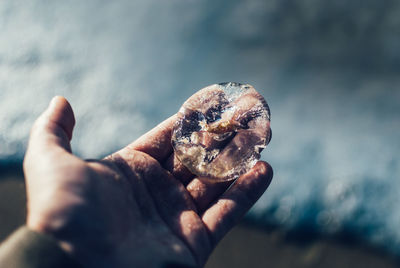 Close-up of hand holding jellyfish sea against sea