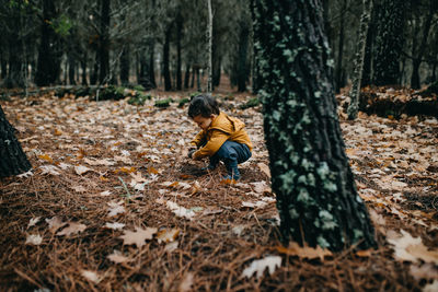 Child picking pine cones
