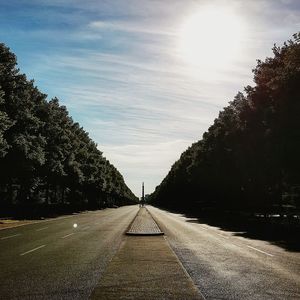 Surface level of road along trees