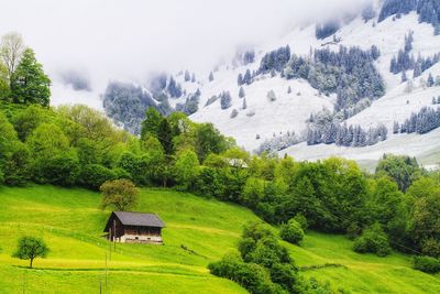 Scenic view of trees and houses on field against mountains