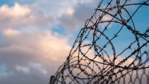 Barbed wire against cloudy blue sky.