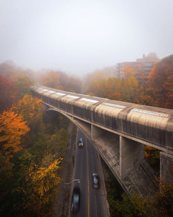 Road amidst trees against sky during autumn