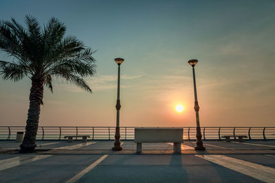 Silhouette palm trees by street against sky during sunset