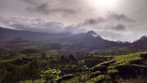 Scenic view of landscape against sky