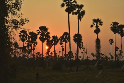 Silhouette palm trees on field against sky during sunset