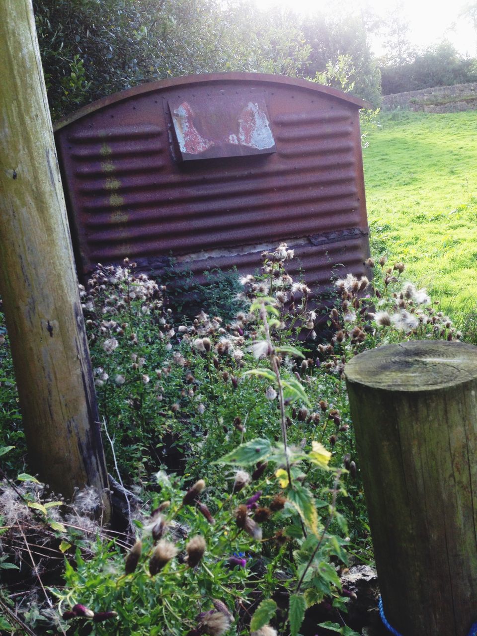 wood - material, grass, plant, growth, old, wooden, green color, front or back yard, abandoned, field, nature, day, wood, flower, outdoors, no people, bench, rusty, tranquility, grassy