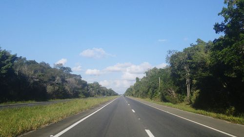 Empty road along trees