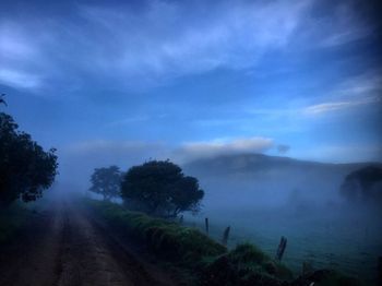 Road amidst trees against sky during foggy weather