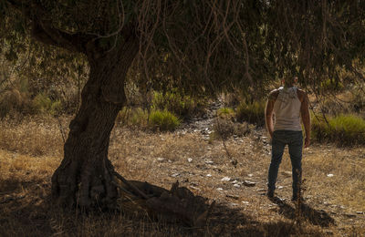 Adult man in white tank top and jeans standing with olive tree in summer