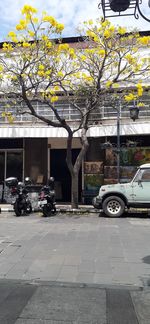 Cars parked on street against buildings