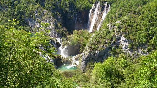 Scenic view of waterfall in forest