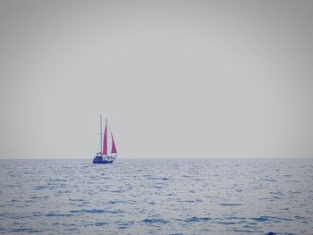 Sailboat sailing on sea against clear sky