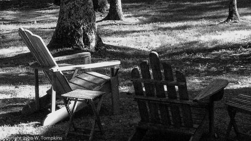 Empty bench in park